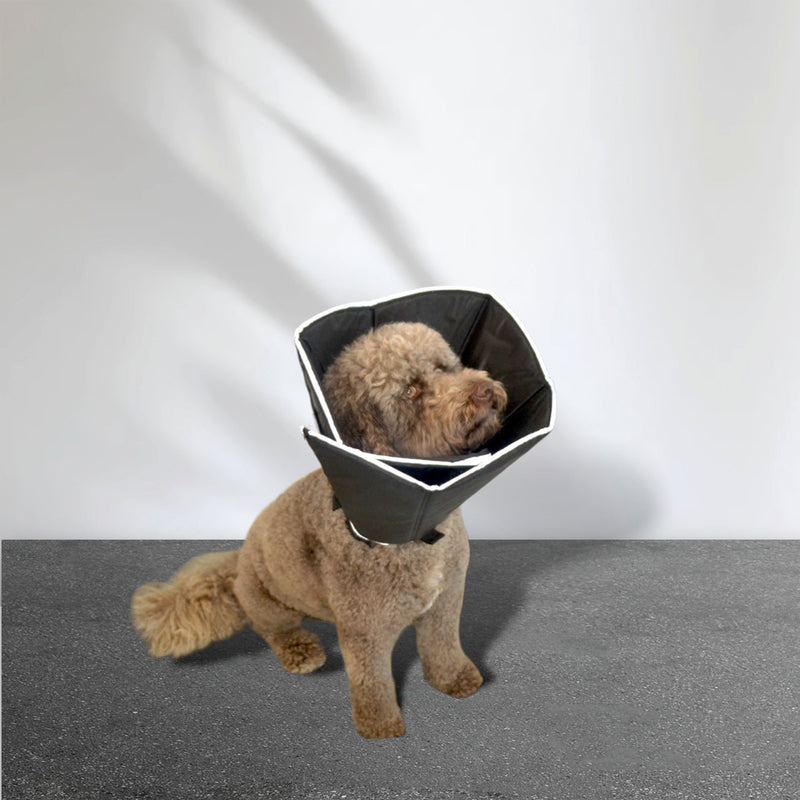 Hondenkraag - Zwart - Verstelbaar met Klittenband - Hondenkap - Beschermkap voor Hond - Beschermkraag
