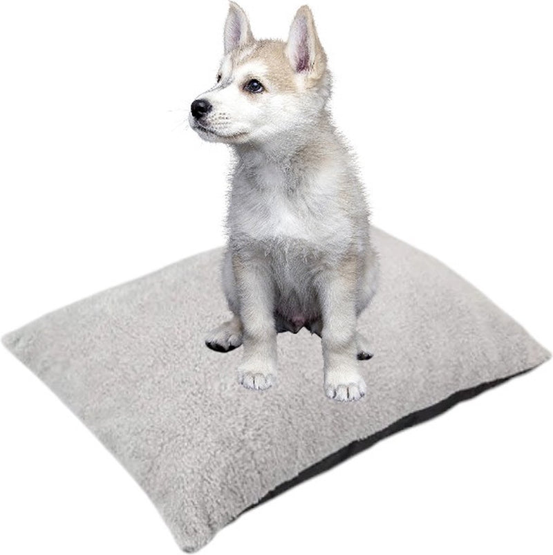 Autostoel Hond - Zwart - 50 x 55 x 35 cm - Hondenmand Met Veiligheidsriempje Voor In De Auto - Automand Hond - Hondenstoel voor Honden