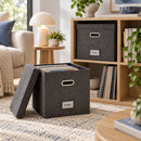LP Opbergsysteem - Opbergbox met Deksel – Vinyl Opbergbox voor 50+ Platen – 33 x 33 x 33 cm – Platenkoffer met Handgrepe