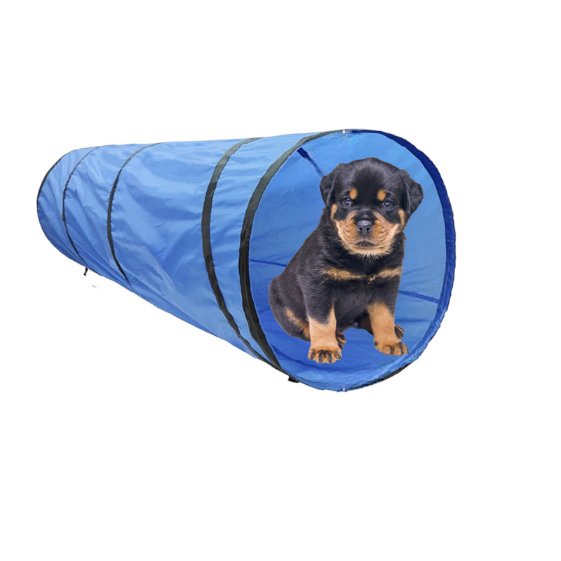 Agility für Hunde – Komplettset inklusive Tragetasche – Hundetraining – Hundeslalom – Agility-Set für Hunde 