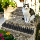 Anti-Kletterstreifen – 5 Meter (10 x 50 cm) – Schwarz – Taubennadeln – Taubenabwehrmittel – Vogelabwehrmittel – Katzenabwehrmittel – Katzenabschreckung – Vogelabwehrmittel – Vogelabwehrmittel