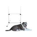 Agility voor de Hond - Complete Set inclusief Draagtas - Training van Honden - Honden Slalom - Agility Set voor Honden