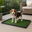 Hondentoilet met Kunstgras – Hygiënische en Handige Oplossing voor Binnen & Buiten - Zindelijkheidstraining Hond - Puppy Pads - Training Pads - Honden Toilet