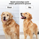 Carewat 6-in-1 Huisdier Stofzuiger en Trimmer Set – Professionele Hondentondeuse met Stofzuiger – Trimset Hond en Kat – Stil, Krachtig en Hygiënisch