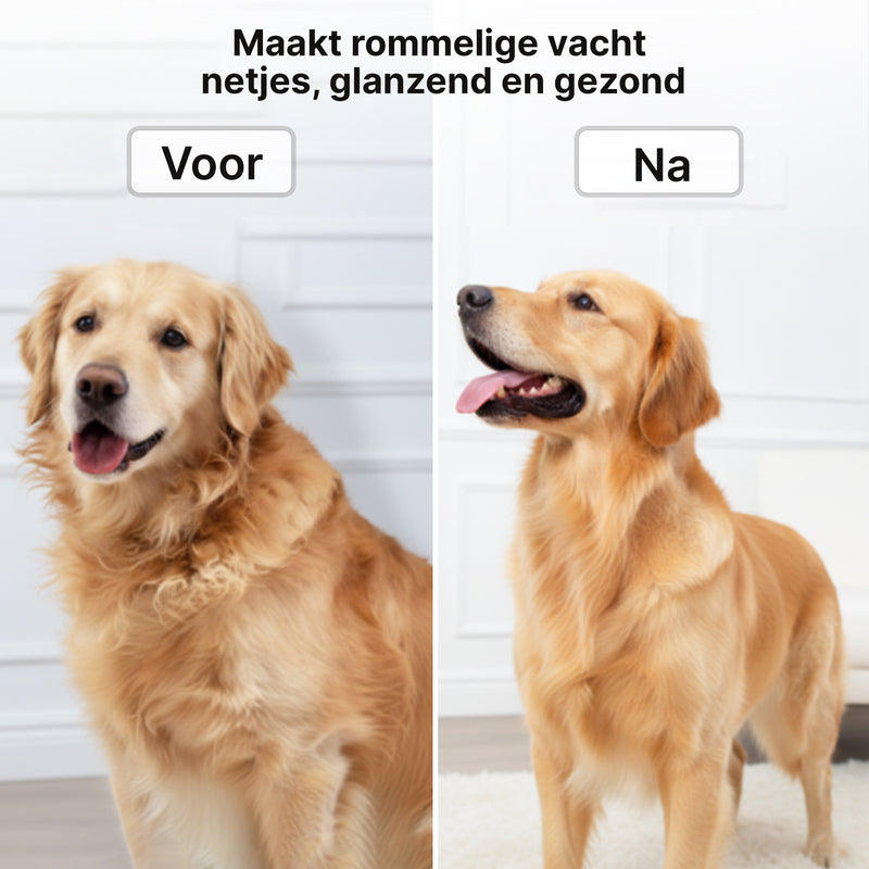 Carewat 6-in-1 Huisdier Stofzuiger en Trimmer Set – Professionele Hondentondeuse met Stofzuiger – Trimset Hond en Kat – Stil, Krachtig en Hygiënisch