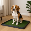 Hondentoilet met Kunstgras – Hygiënische en Handige Oplossing voor Binnen & Buiten - Zindelijkheidstraining Hond - Puppy Pads - Training Pads - Honden Toilet