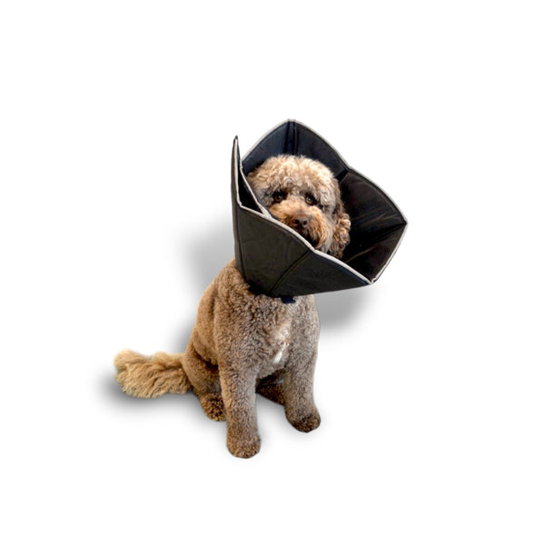 Hundehalsband - Schwarz - Verstellbar mit Klettverschluss - Hundehaube - Schutzhaube für Hund - Schutzhalsband