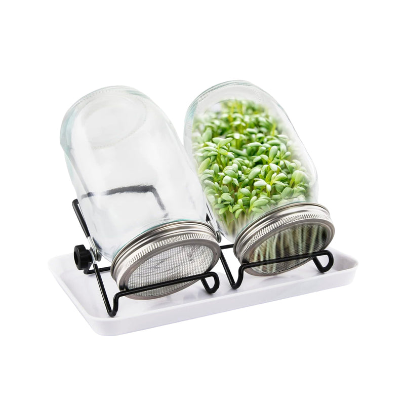 Keimglas – 2 Stück – 1000 ml – Keimtopf-Set – Gemüsesprossen – Keimtöpfe zum Keimen von Gemüse – inklusive Halter