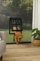 Hundeklappe - Abschließbar - 4 Positionen - 35x28 cm - Schwarz